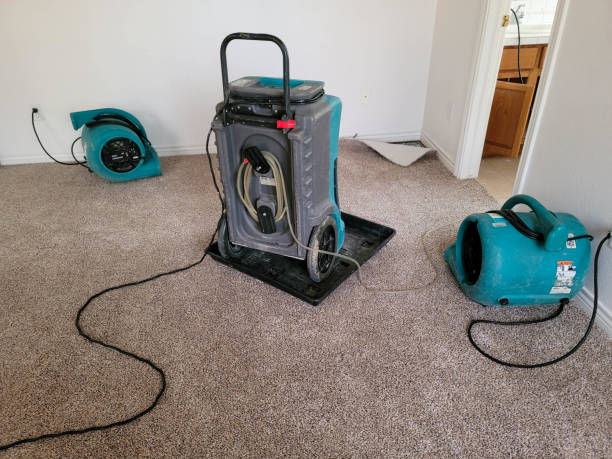 Sewage cleanup and water damage restoration in Hodgkins, IL