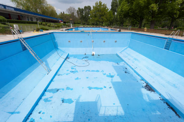 Best Flood damage cleanup  in Hodgkins, IL