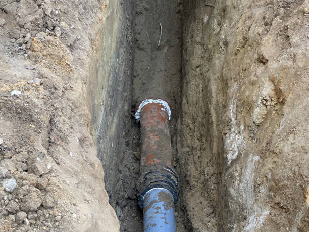 Best Flood restoration services  in Hodgkins, IL