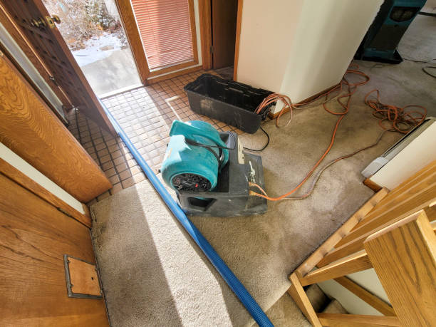 Best Water damage restoration near me  in Hodgkins, IL