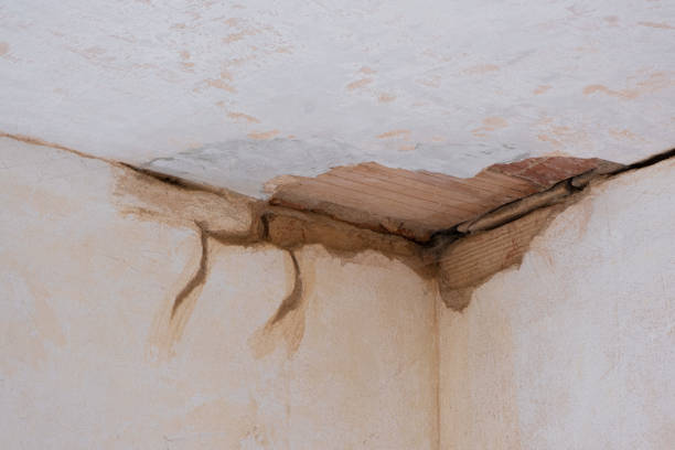 Best Flood damage cleanup  in Hodgkins, IL