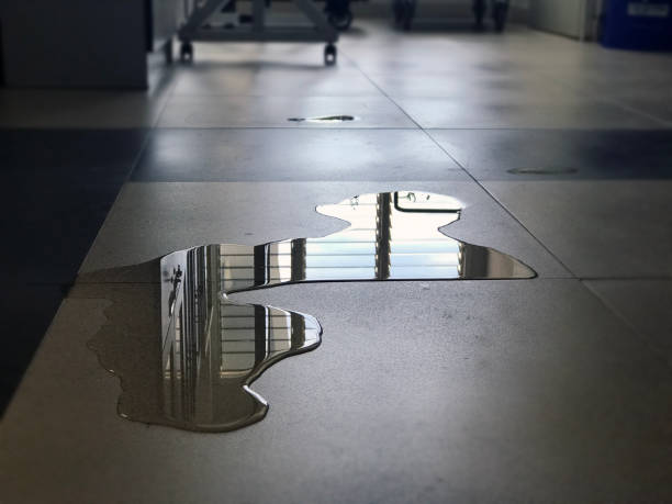 Best Water damage restoration process  in Hodgkins, IL