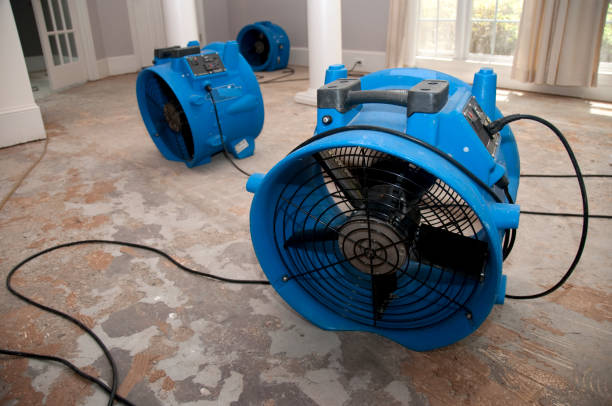 Best Commercial water damage restoration  in Hodgkins, IL
