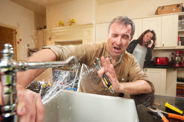 Best Water damage cleanup near me  in Hodgkins, IL